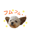 モカちゃん日記その5（個別スタンプ：23）