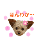 モカちゃん日記その5（個別スタンプ：25）