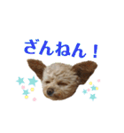 モカちゃん日記その5（個別スタンプ：28）