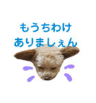 モカちゃん日記その5（個別スタンプ：31）