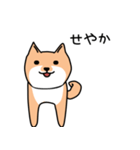 しょうがない犬 (津山弁)（個別スタンプ：4）