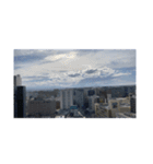 れん写真（個別スタンプ：2）