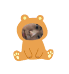 てんガズ（個別スタンプ：8）