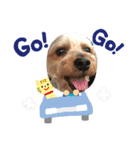 ジロースタンプ（個別スタンプ：2）