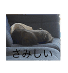 スタッフィースタンプ22（個別スタンプ：14）