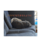 スタッフィースタンプ22（個別スタンプ：20）