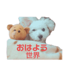 くーーーちゃんスタンプ（個別スタンプ：6）