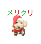 花のスタンプどすえ。（個別スタンプ：5）