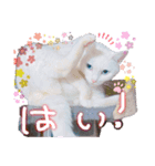 忍と雪那（個別スタンプ：5）