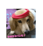 お試しむーさん（個別スタンプ：4）