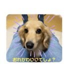 お試しむーさん（個別スタンプ：5）