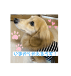お試しむーさん（個別スタンプ：8）