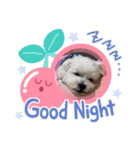 へり もこ（個別スタンプ：1）