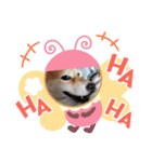 へり もこ（個別スタンプ：19）