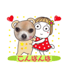 チワワのれおぱこぴにこ①（個別スタンプ：5）