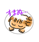 ゆるコロスタンプ2（個別スタンプ：5）