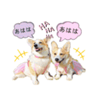 ラテ＆マフィン♡コーギー姉妹スタンプ（個別スタンプ：28）