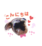 かわいこわんこ（個別スタンプ：16）