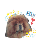 かわいこわんこ（個別スタンプ：17）