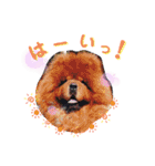 かわいこわんこ（個別スタンプ：18）