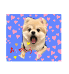 もずく②（個別スタンプ：1）