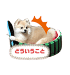 もずく②（個別スタンプ：3）