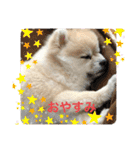 もずく②（個別スタンプ：6）