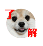 もずく②（個別スタンプ：7）