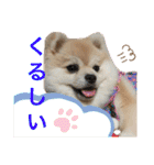 もずく②（個別スタンプ：25）