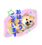 もずく②（個別スタンプ：29）