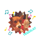 コーギーのくっきぃ＆ぎん太（個別スタンプ：11）