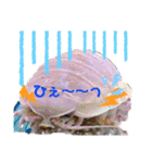 コーギーのくっきぃ＆ぎん太（個別スタンプ：12）