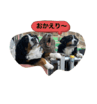 動物にありがとう2（個別スタンプ：1）
