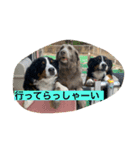 動物にありがとう2（個別スタンプ：2）