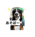 動物にありがとう2（個別スタンプ：4）