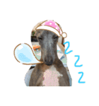 動物にありがとう2（個別スタンプ：5）