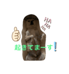 動物にありがとう2（個別スタンプ：10）