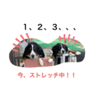 動物にありがとう2（個別スタンプ：14）