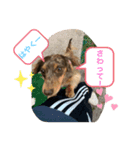 動物にありがとう2（個別スタンプ：15）