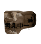 動物にありがとう2（個別スタンプ：16）
