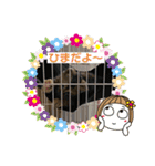 トラฅ( ˙꒳​˙ ฅ)ネコ（個別スタンプ：17）