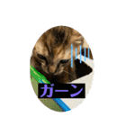 トラฅ( ˙꒳​˙ ฅ)ネコ（個別スタンプ：18）