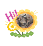 トラฅ( ˙꒳​˙ ฅ)ネコ（個別スタンプ：21）