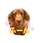 ちょこみる2（個別スタンプ：3）