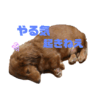 ちょこみる2（個別スタンプ：4）