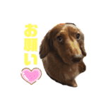 ちょこみる2（個別スタンプ：7）