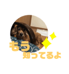 ちょこみる2（個別スタンプ：13）