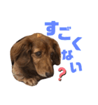ちょこみる2（個別スタンプ：15）