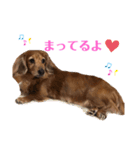 ちょこみる2（個別スタンプ：16）
