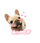 フレブルの大吉くん(パステルカラー)（個別スタンプ：2）